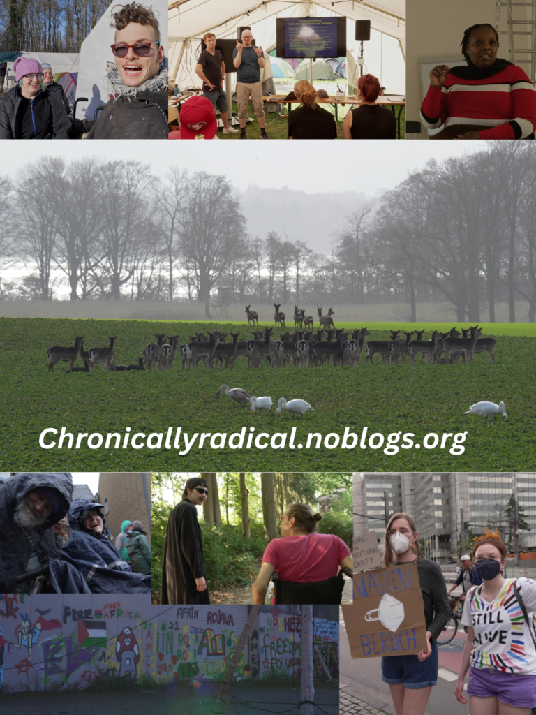 7m
chronicallyradical.nublogs.org, a photo collage featuring stills from the film. A large group of deer in a green meadow, with a shimmering lake and tall trees in the background, and four swans in the foreground. Below this, a picture of a white man with a white beard smiling next to a white woman in a wheelchair, both wearing blue rainwear. A painted wall: ‘Free Africa’, the Palestinian flag, a picture of a mushroom, Apo, Afrin, Rojava, ‘Freedom for Kurdistan’, YPG. A white person in a black coat with a glued-on beard and sunglasses; next to them, a person in a pink T-shirt in a wheelchair. Two masked demonstrators holding a sign reading “Mask Area”, a white person wearing sunglasses and a keffiyeh, behind them a white person wearing a purple hat and with blue hair, two people using sign language in front of a monitor and an audience, a Black woman with short dreadlocks wearing a red, white and black striped jumper.